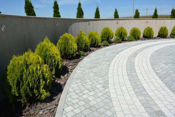 Best Commercial Driveway Pavers  in Clio, AL