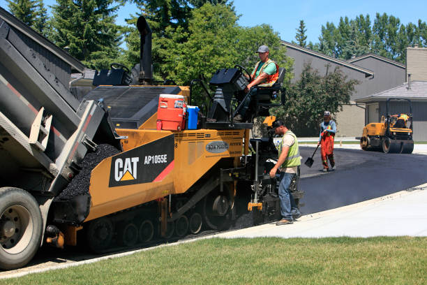 Professional Driveway Pavers in Clio, AL
